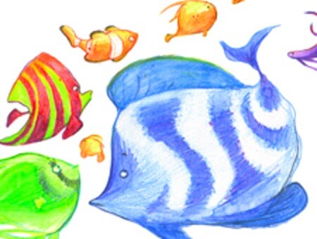 Soluble dans l’eau