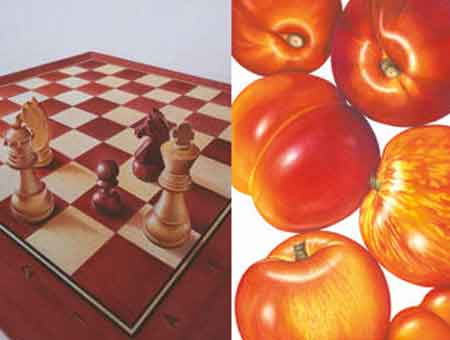 Socios de arte de Derwent