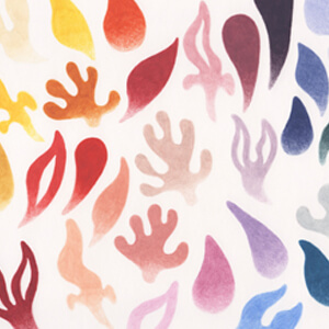 Nature-inspired colour palette