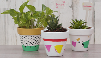 Painting a Plant Pot with Derwent